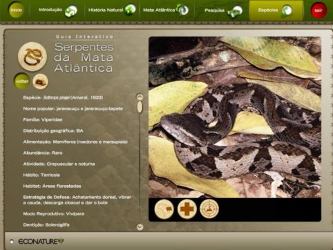 Guia Interativo Serpentes da Mata Atlântica - Image 5