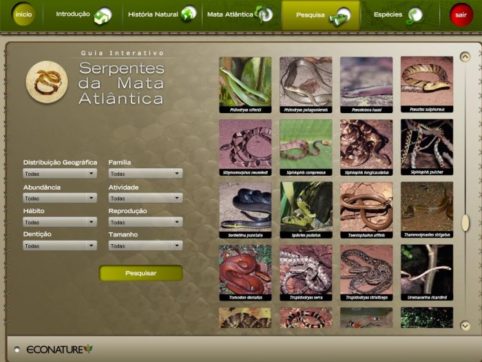Guia Interativo Serpentes da Mata Atlântica - Image 4