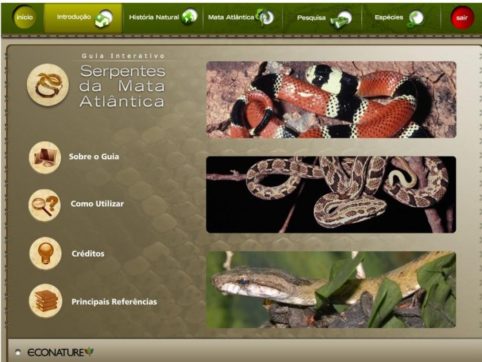 Guia Interativo Serpentes da Mata Atlântica - Image 3