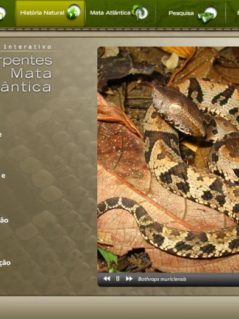 Guia Interativo Serpentes da Mata Atlântica