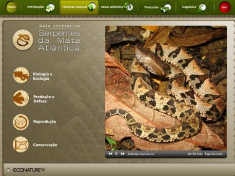 Guia Interativo Serpentes da Mata Atlântica - Image 2